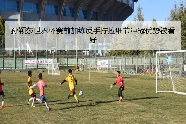 孙颖莎世界杯赛前加练反手拧拉细节冲冠优势被看好